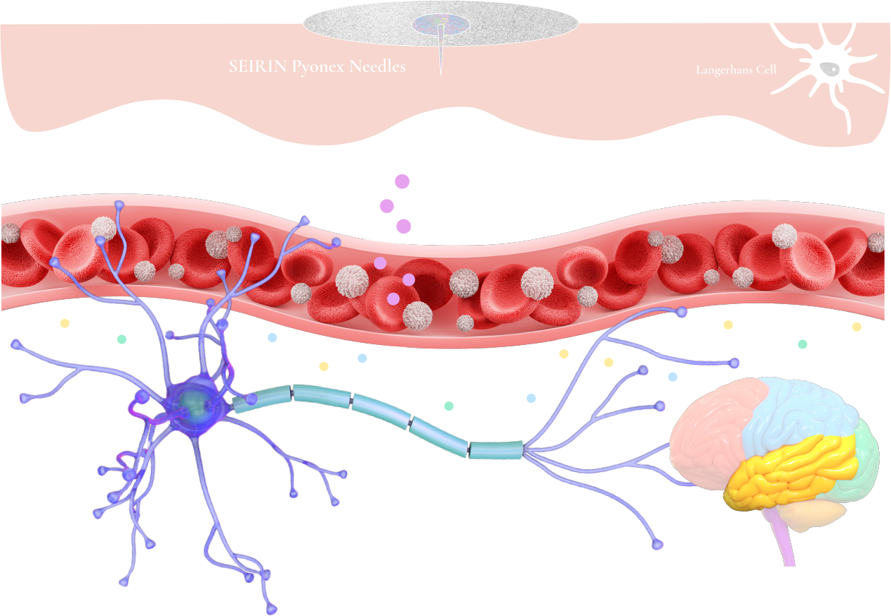 Medical Principles